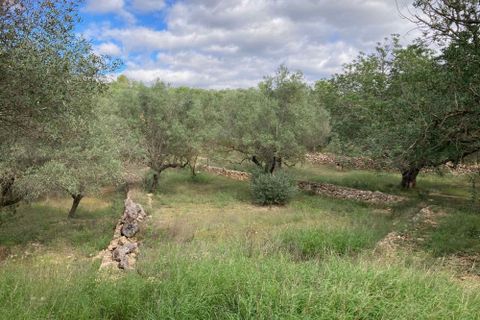 Landejendom i El Perello, Tarragona, El Perello - € 56.000 | Ref: Finca Bitem Joa - foto 13